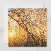 夕焼けのつららと枝 招待状 (正面)