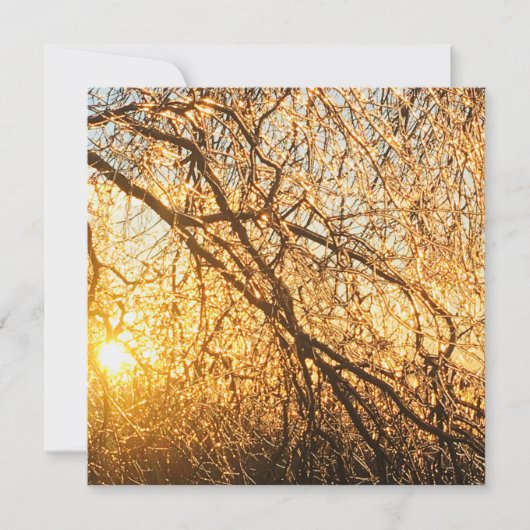 夕焼けのつららと枝 招待状 (正面)