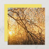 夕焼けのつらら 招待状 (正面/裏面)