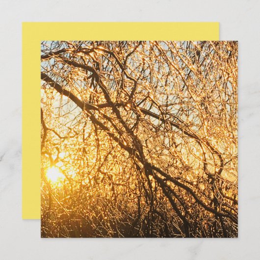 夕焼けのつらら 招待状 (正面/裏面)