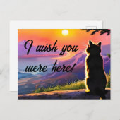 夕焼けのアニメ猫 ポストカード (正面/裏面)