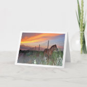 夕焼けのスペイン馬 カード (正面)
