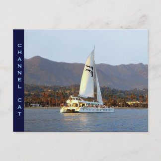 夕焼けのチャンネルキャット ポストカード