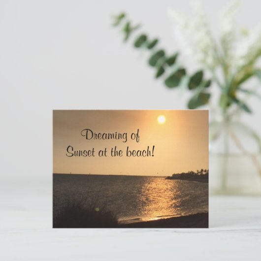 夕焼けの夢を見るビーチはがき 案内ポストカード (スタンド正面)