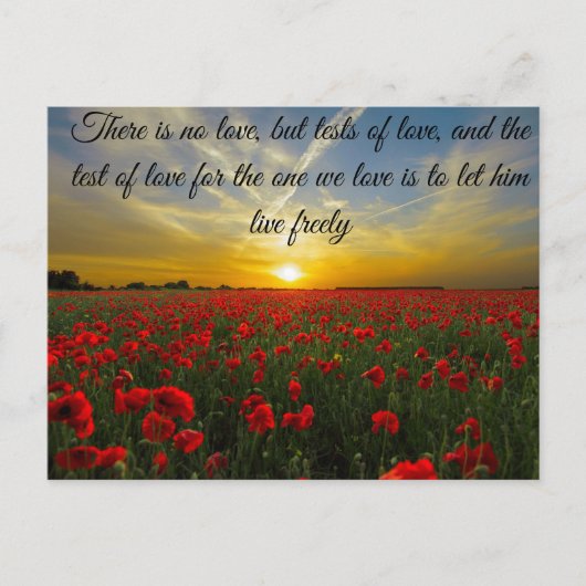 夕焼けの太陽 ポストカード (正面)