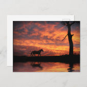 夕焼けの池が美しい ポストカード (正面/裏面)