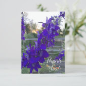 夕焼けの紫色の花 サンキューカード (スタンド正面)