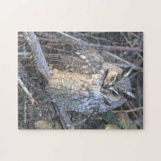 夕焼けの美しい長耳フクロウ ジグソーパズル (横)