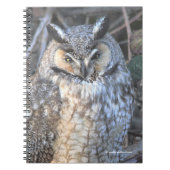 夕焼けの美しい長耳フクロウ ノートブック (正面)