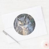 夕焼けの美しい長耳フクロウ ラウンドシール (封筒)