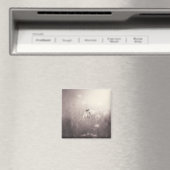 夕焼けの花のセピア畑 マグネット (インサイチュ (食洗機))