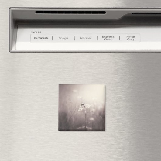 夕焼けの花のセピア畑 マグネット (インサイチュ (食洗機))