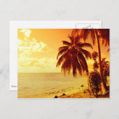 夕焼けの葉書でビーチに咲く熱帯ヤシ ポストカード (正面/裏面)
