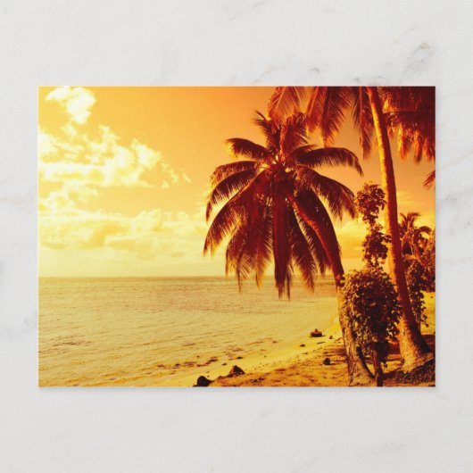 夕焼けの葉書でビーチに咲く熱帯ヤシ ポストカード (正面)