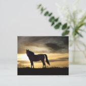 夕焼けの豪華な馬はがき ポストカード (スタンド正面)