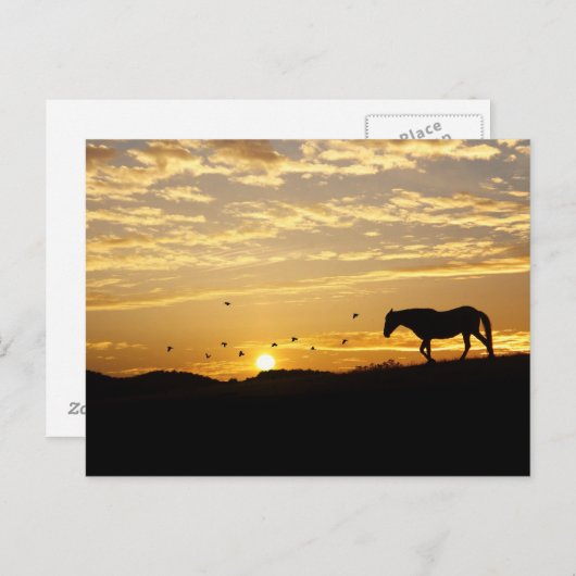 夕焼けの馬のポストカード ポストカード (正面/裏面)