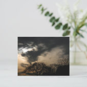 夕焼けはがき ポストカード (スタンド正面)