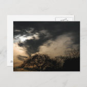 夕焼けはがき ポストカード (正面/裏面)