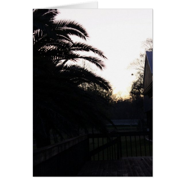 夕焼けを見る (正面)