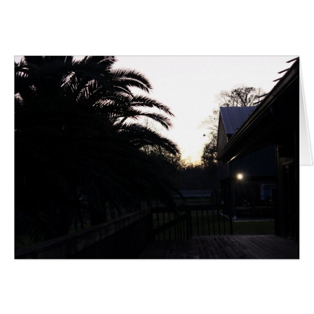 夕焼けを見る (正面横)