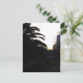 夕焼けを見る ポストカード (スタンド正面)