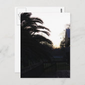 夕焼けを見る ポストカード (正面/裏面)