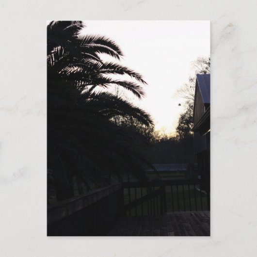 夕焼けを見る ポストカード (正面)