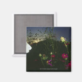 夕焼け時に飛行している白い蝶 マグネット (正面/裏面)