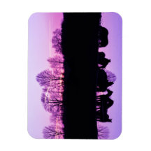 夕焼け時のフレジアン反射