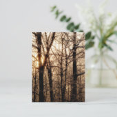 夕焼け時の氷の海 ポストカード (スタンド正面)