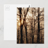 夕焼け時の氷の海 ポストカード (正面/裏面)