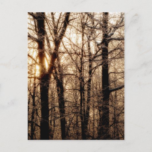 夕焼け時の氷の海 ポストカード (正面)