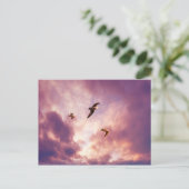 夕焼け飛んでいるの空のカモメ ポストカード (スタンド正面)