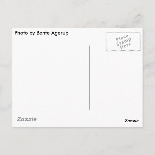 夕焼け ポストカード (裏面)