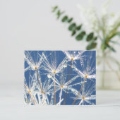 夕露の穏やかな青と白のタンポポ ポストカード (スタンド正面)