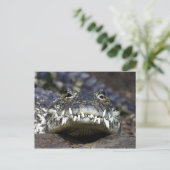 夕食に一緒に ポストカード (スタンド正面)