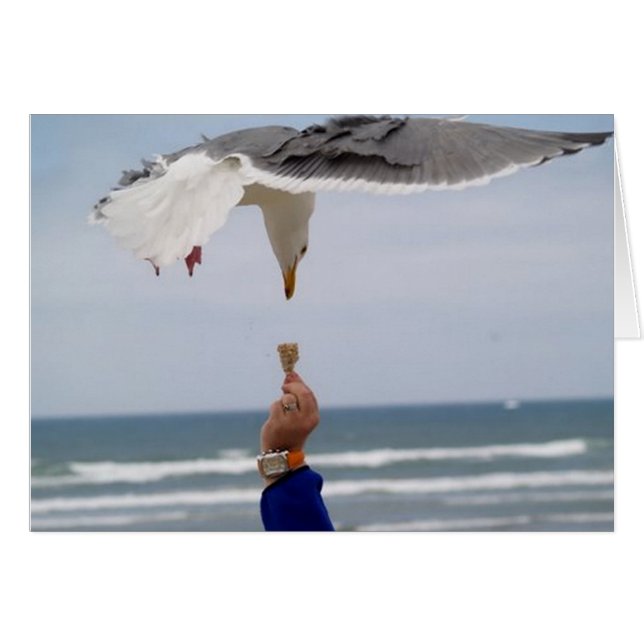 夕食に来る推測Whos (正面横)