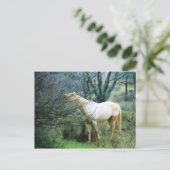 夕食のためにハイになる ポストカード (スタンド正面)