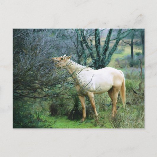 夕食のためにハイになる ポストカード (正面)