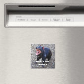 「夕食は何だ？」 タスマニアデビルマグネット マグネット (インサイチュ (食洗機))