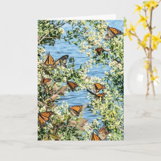 夕食を作る カード (黄色い花)