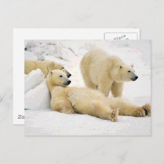 夕食後 ポストカード (正面/裏面)