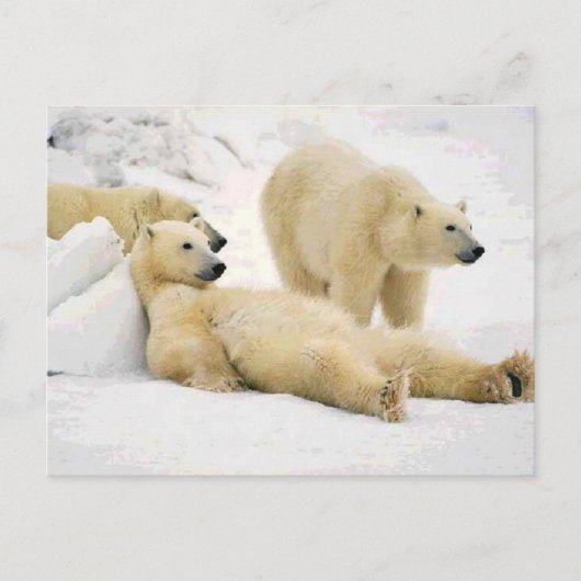 夕食後 ポストカード (正面)