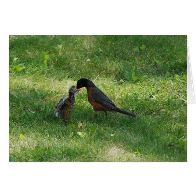 夕食時! (正面横)