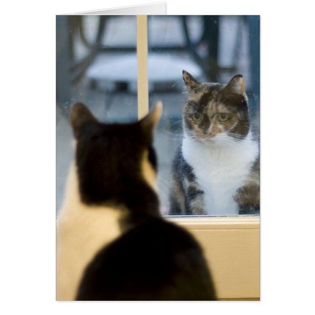 外から中を見て (正面)