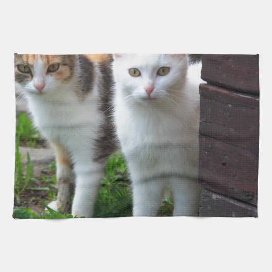 外で遊ぶ猫 キッチンタオル (横)