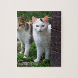 外で遊ぶ猫 ジグソーパズル