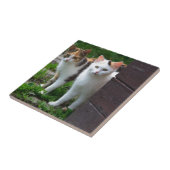 外で遊ぶ猫 タイル (側面)