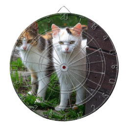 外で遊ぶ猫 ダーツボード