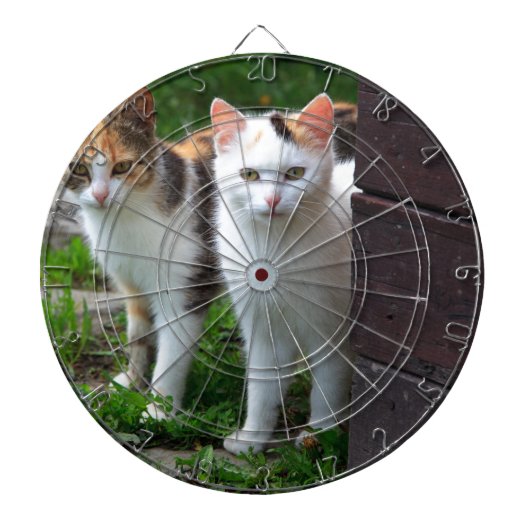 外で遊ぶ猫 ダーツボード (正面)
